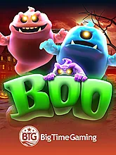 BooV1 DNT
