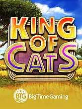 King of Cats