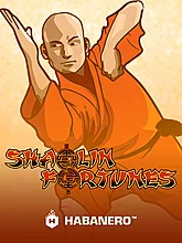 Shaolin Fortunes