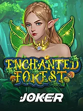 Enchanted Forest