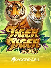 TIGER  TIGER